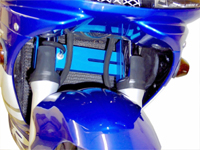 blue4.jpg (89203 bytes)